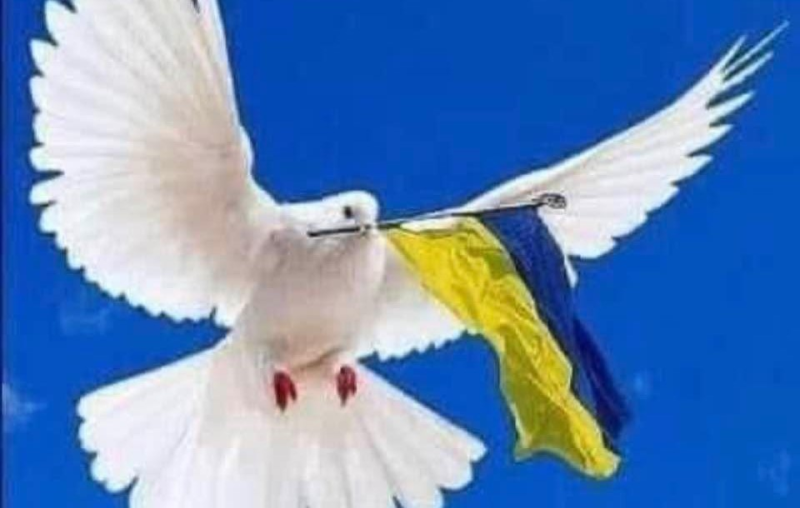 Hjelp til Ukraina - informasjonsmøte på nett