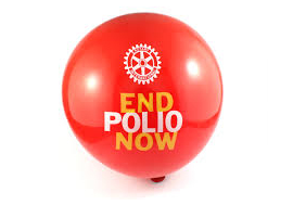 Nigeria - fri for vilt poliovirus?
